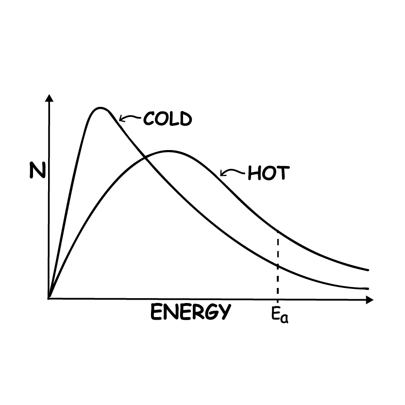 Classical Statistical Mechanics